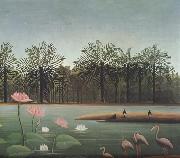 Henri Rousseau The Flamingos oil on canvas